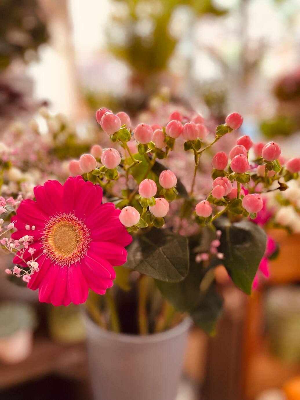 La Vie en Fleurs 6