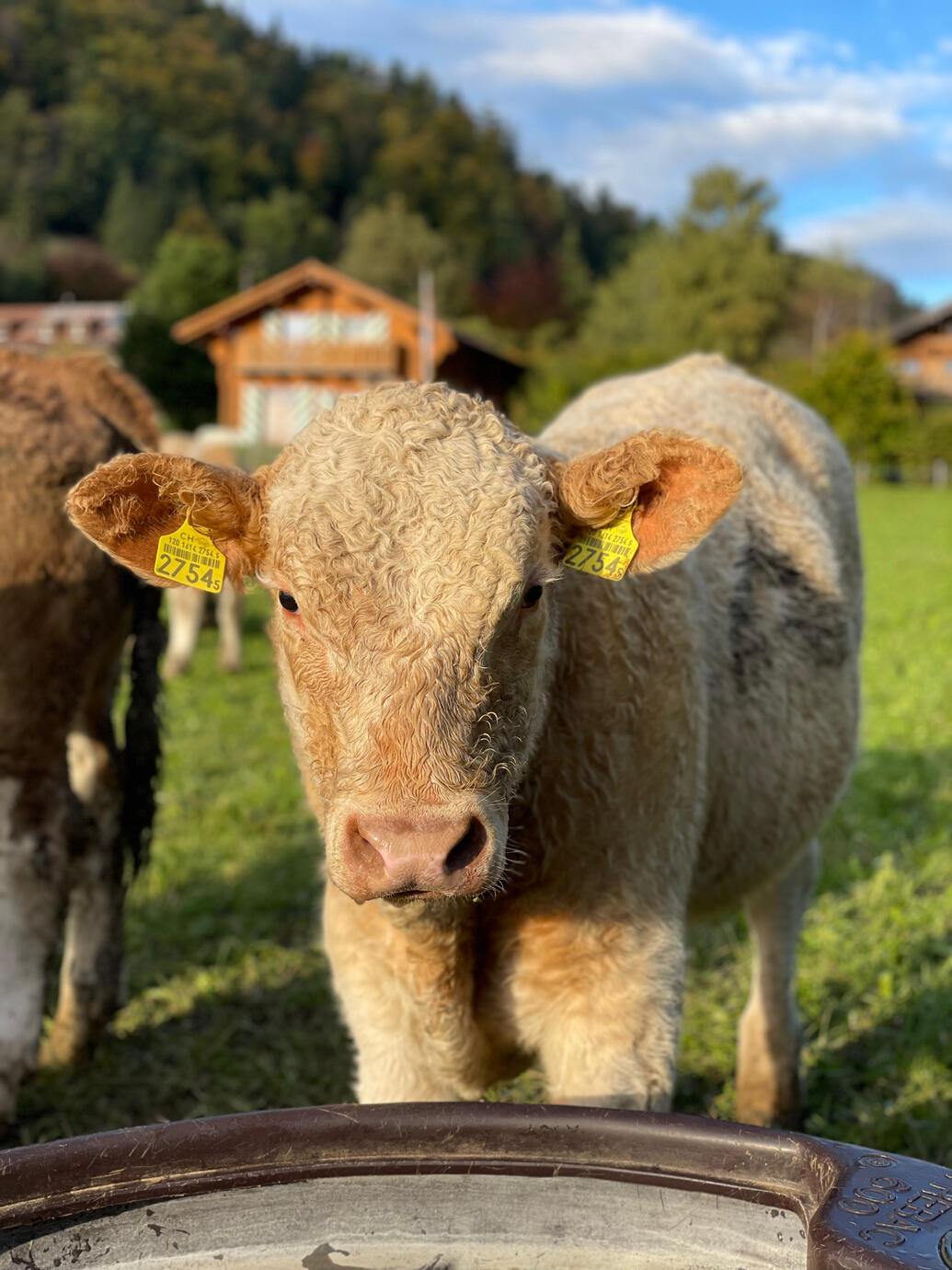 Si jeune et déjà poilu