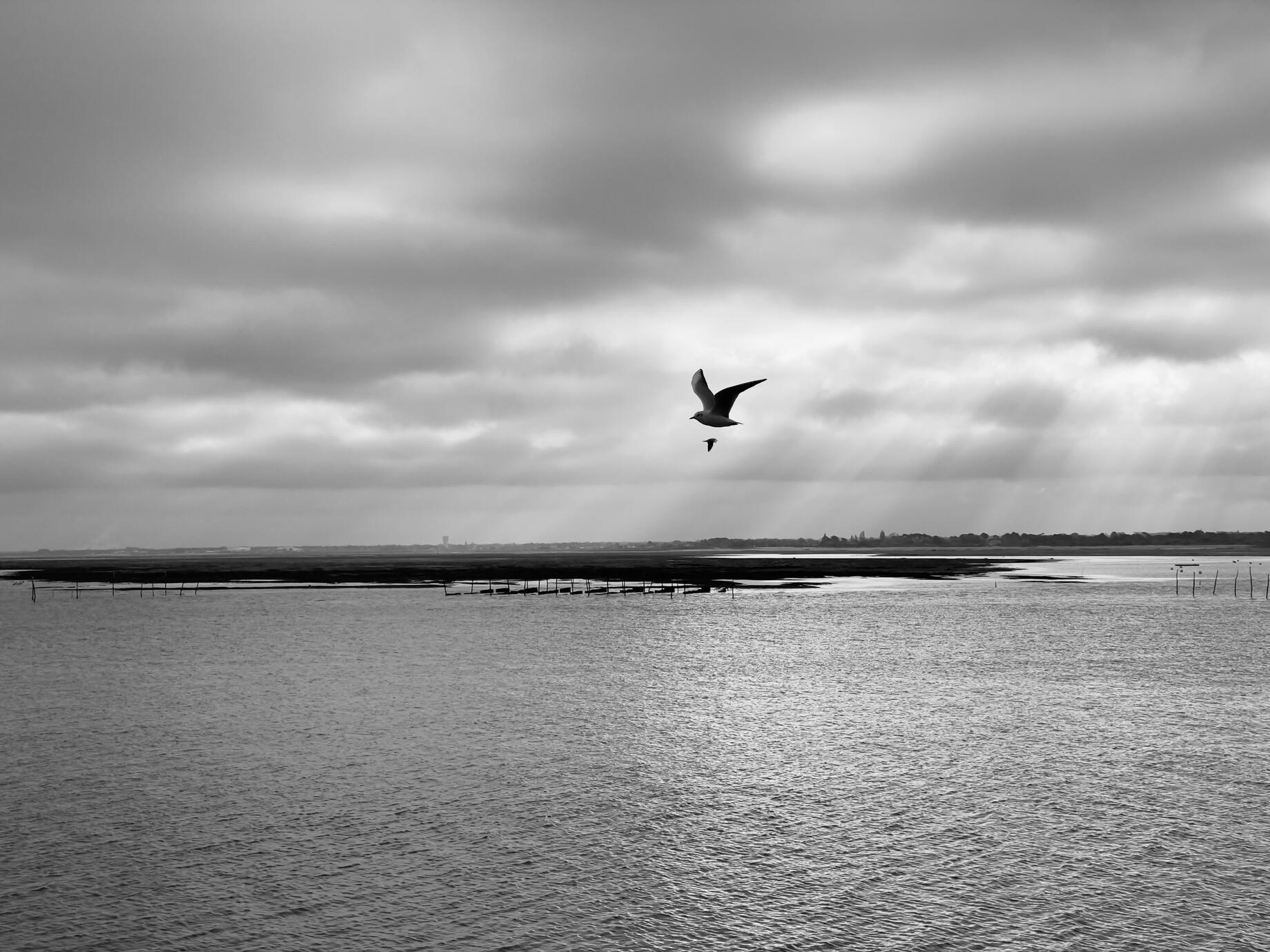 Bassin d&#39;Arcachon
